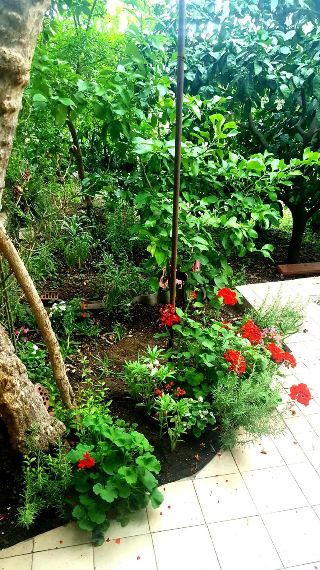 Apartments Vala Betina  Luaran gambar